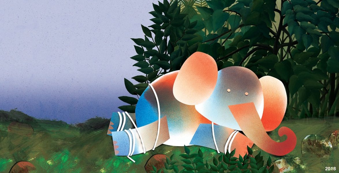 05